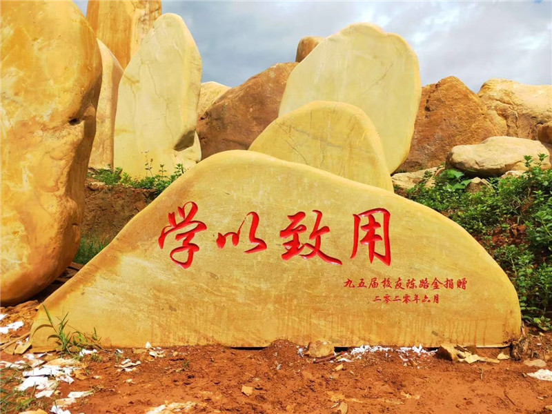客戶案例