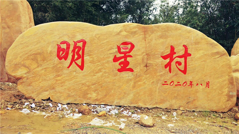 客戶案例